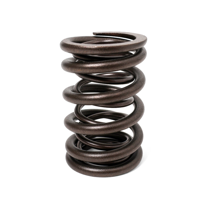 Blox Racing Valve Springs - H-Series