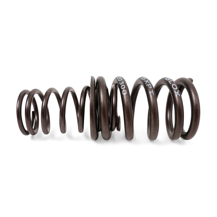 Blox Racing Valve Springs - H-Series